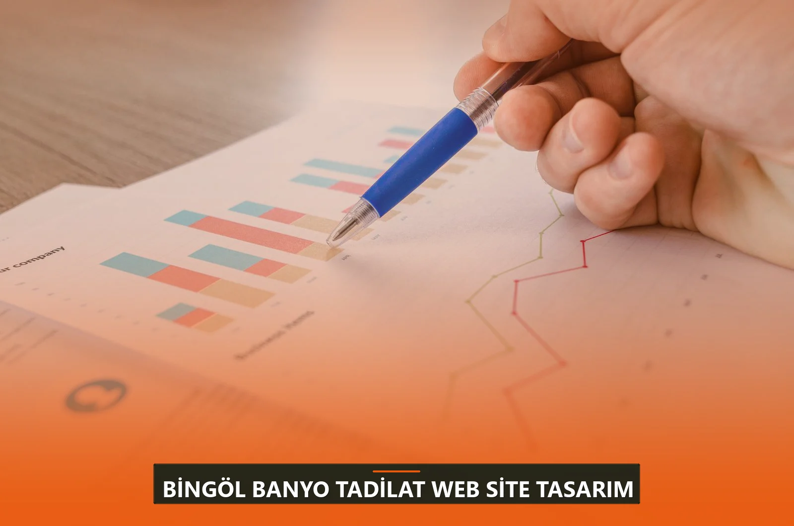 Bingöl Banyo Tadilat Web Site Tasarım