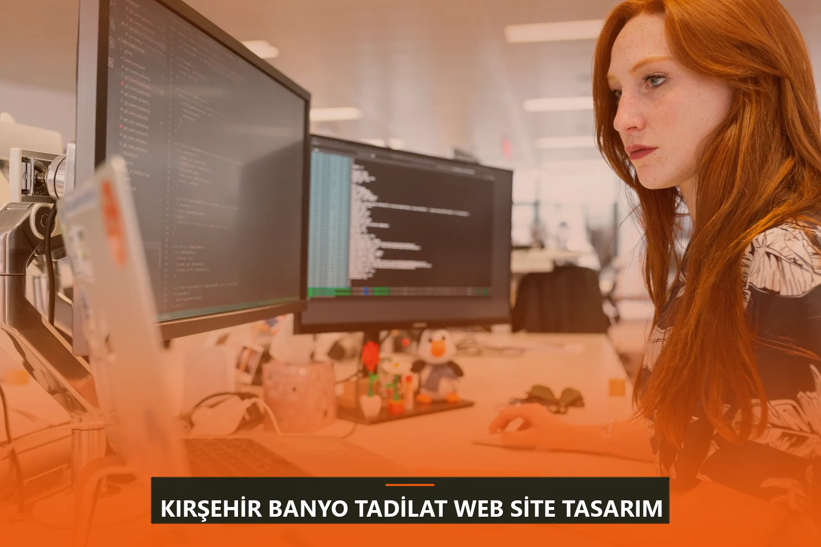 Kırşehir Banyo Tadilat Web Site Tasarım