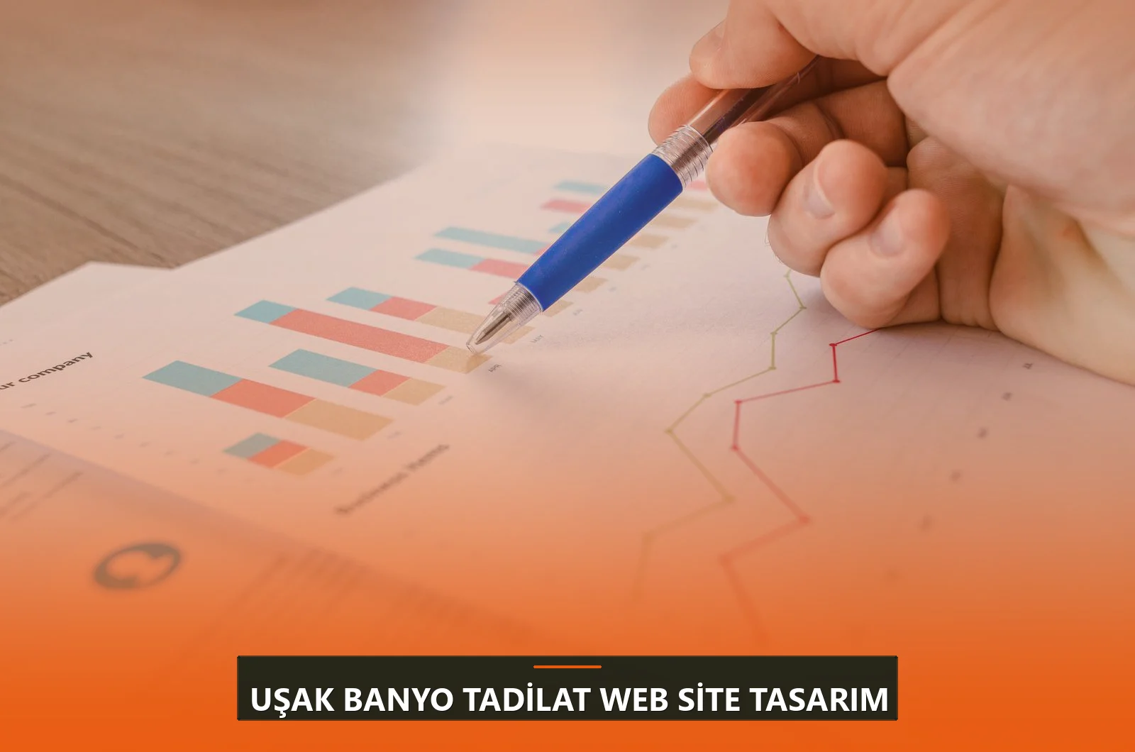 Uşak Banyo Tadilat Web Site Tasarım