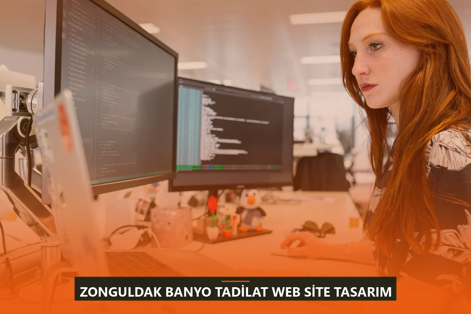 Zonguldak Banyo Tadilat Web Site Tasarım
